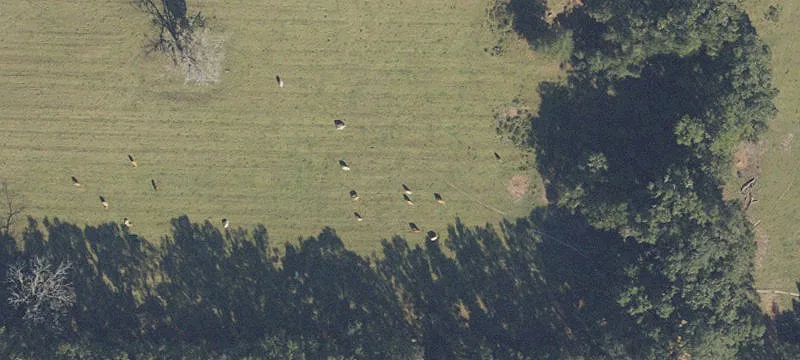 Archer, FL 32618