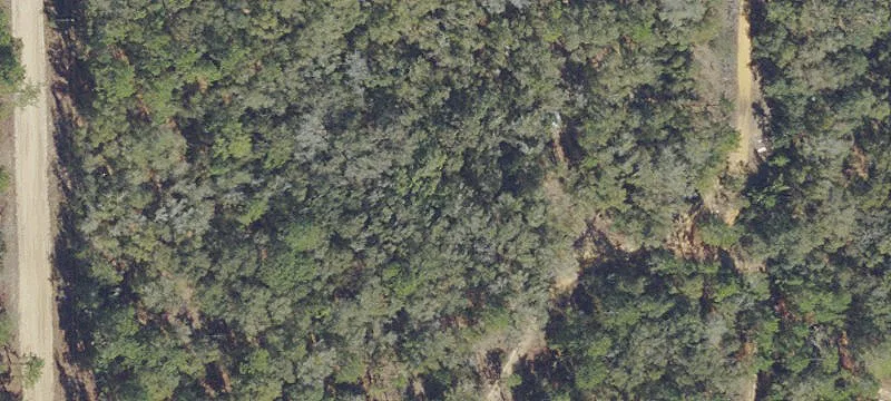 Interlachen, FL 32148