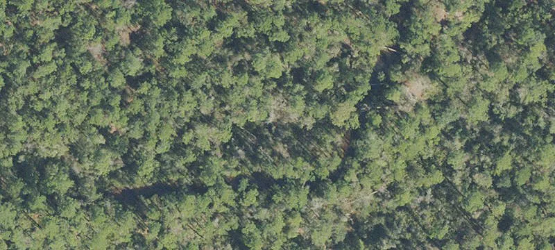 Pensacola, FL 32507