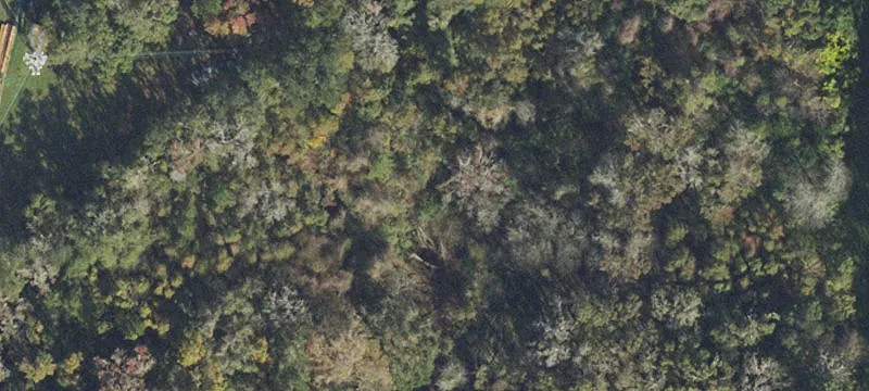 Alachua, FL 32615