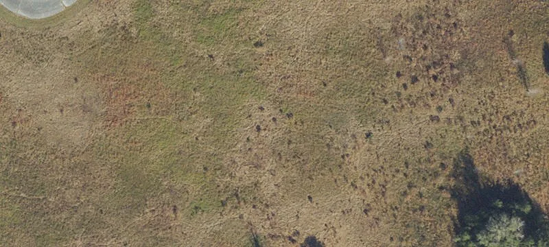 Live Oak, FL 32060