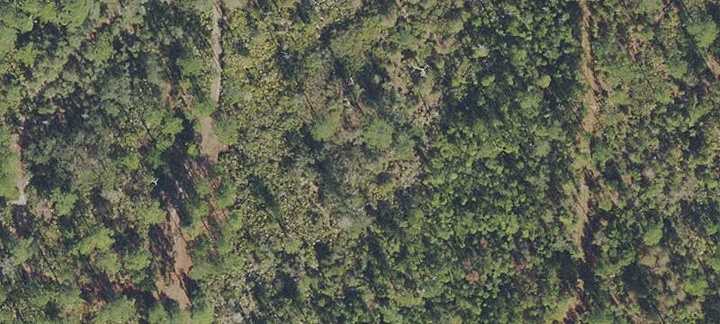 Florahome, FL 32140