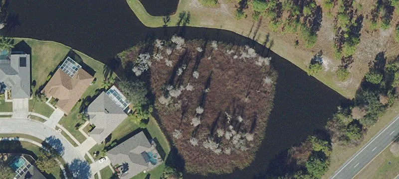 Trinity, FL 34655