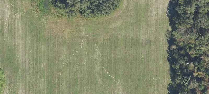 Archer, FL 32618