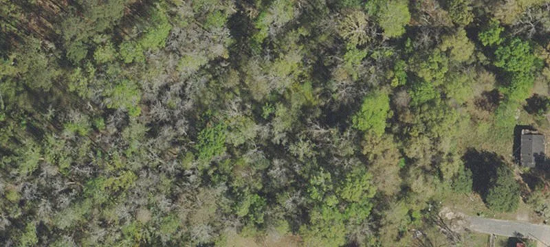 Graceville, FL 32440