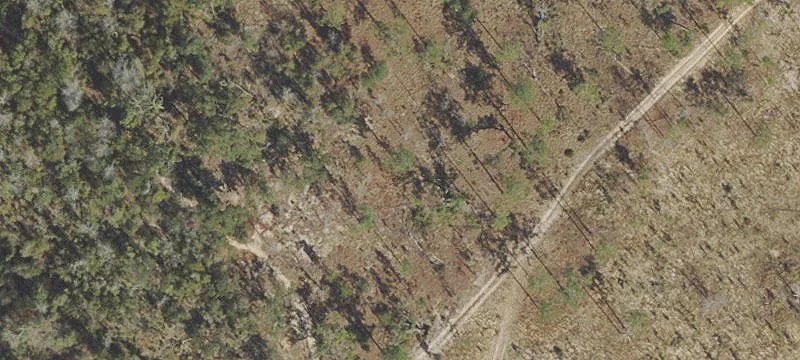 Bristol, FL 32321