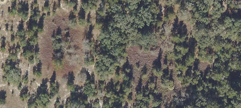 Silver Springs, FL 34488