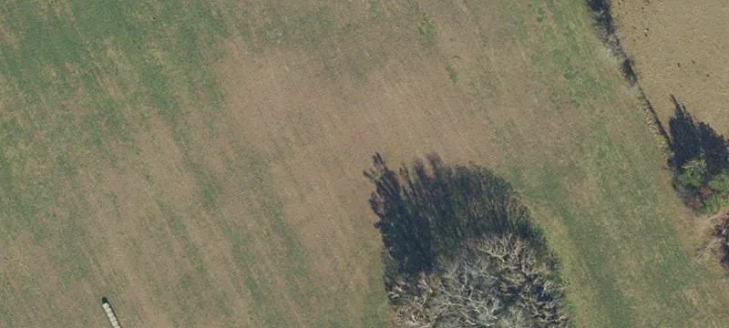 High Springs, FL 32643