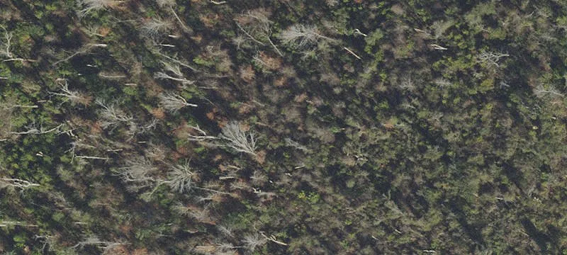 Bristol, FL 32321