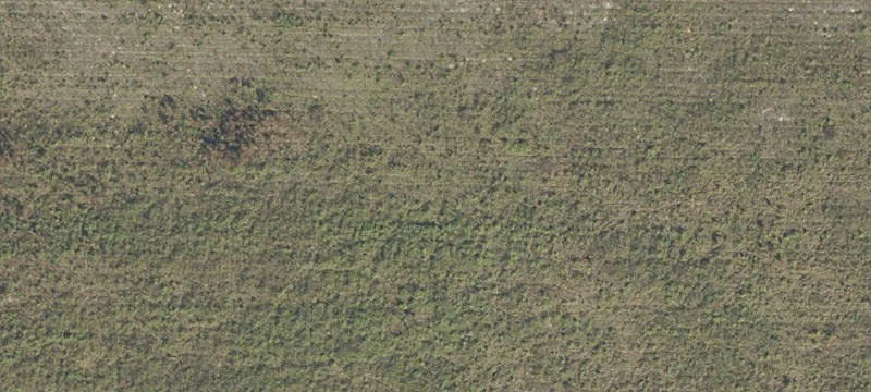 Archer, FL 32618