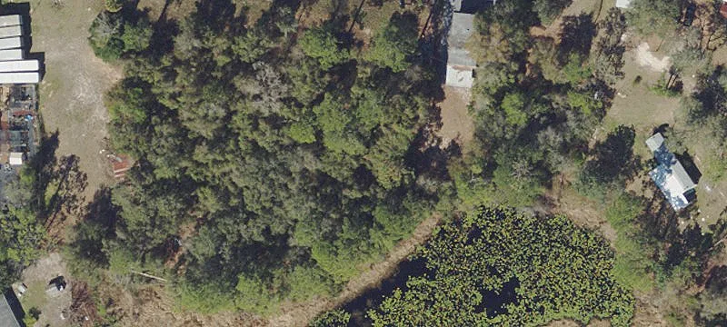Silver Springs, FL 34488