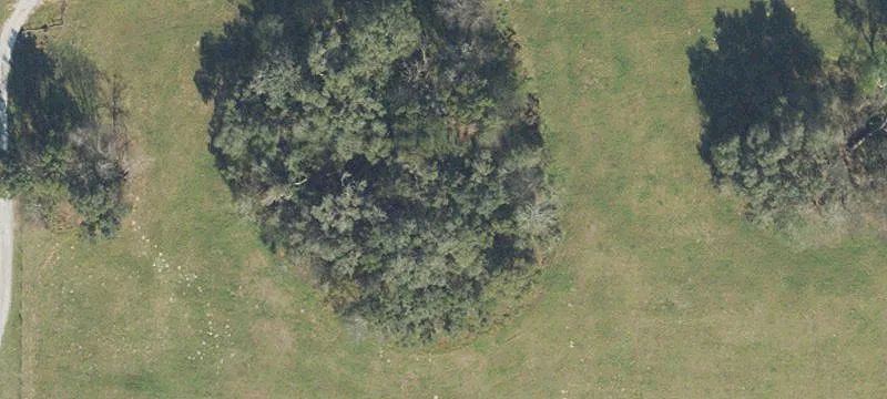 Newberry, FL 32669