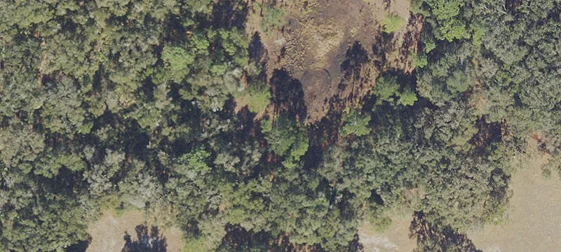 Boy Scout Rd