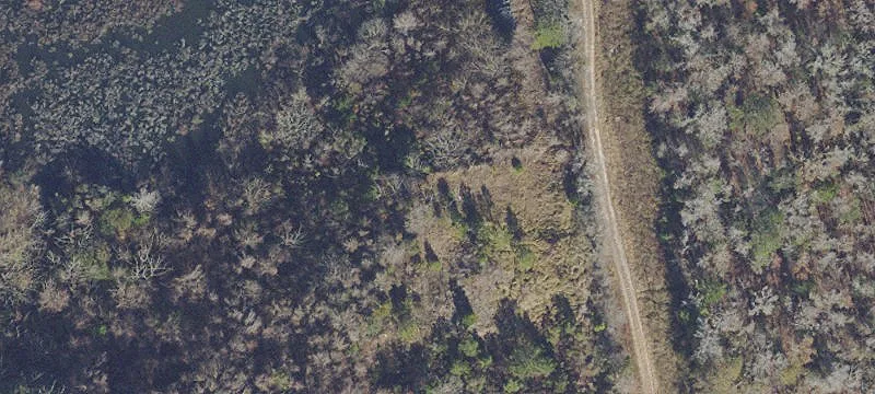 Ocala, FL 34481