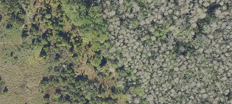 Kissimmee, FL 34758