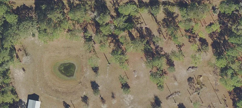 Silver Springs, FL 34488