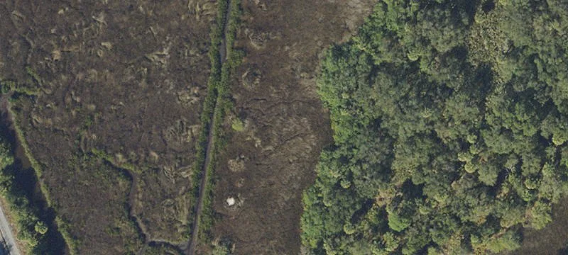 Riverview, FL 33578