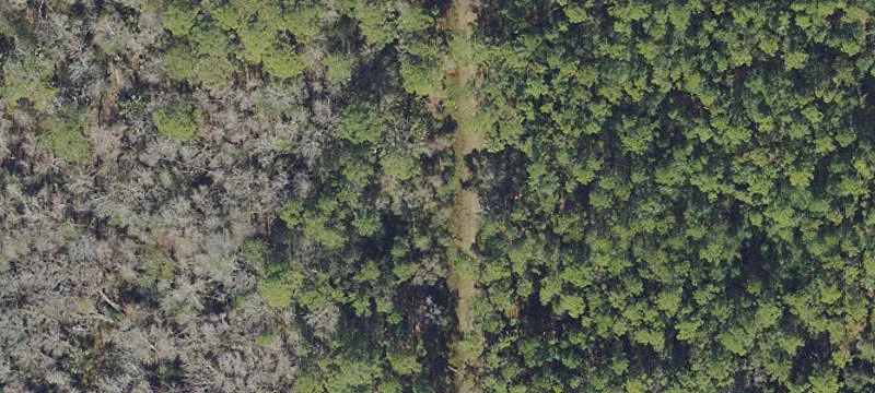 Bunnell, FL 32110