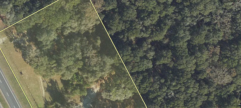 Chiefland, FL 32626