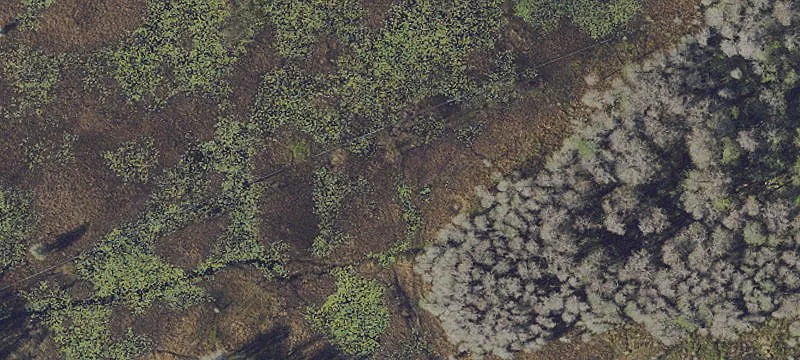 Eden Ln