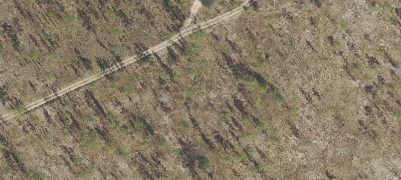 Bristol, FL 32321