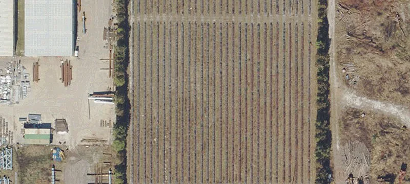Sumterville, FL 33585