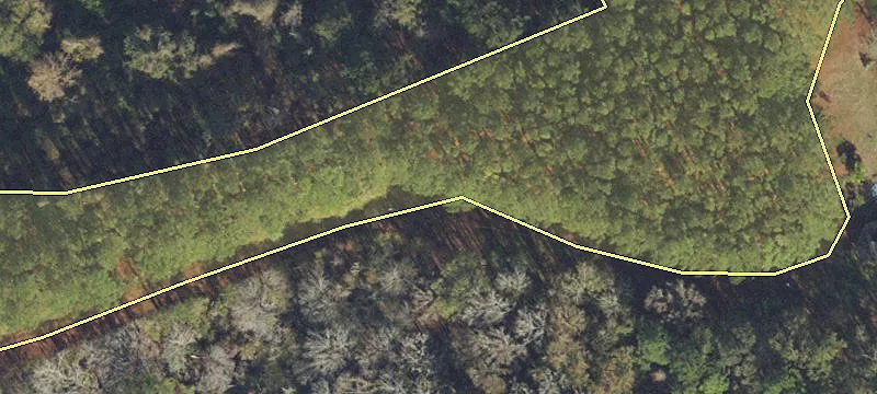 Alachua, FL 32615