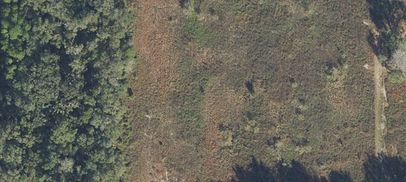 Archer, FL 32618