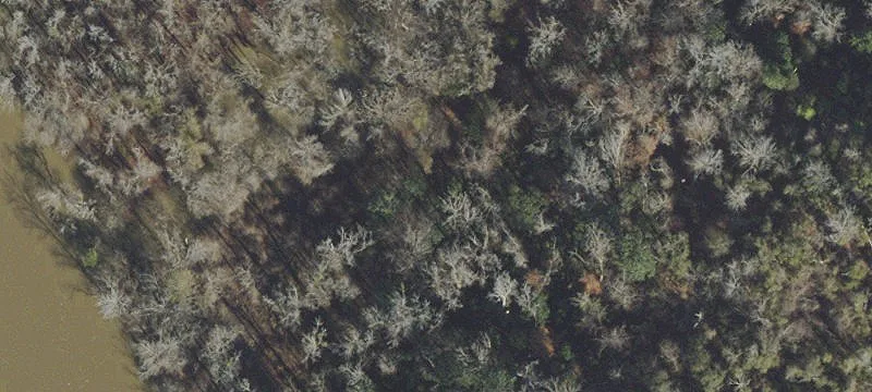 Bristol, FL 32321