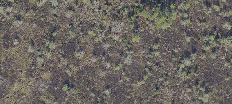 Hawthorne, FL 32640
