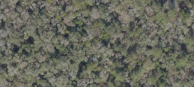 Micanopy, FL 32667