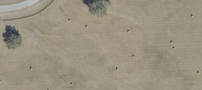 Morriston, FL 32668