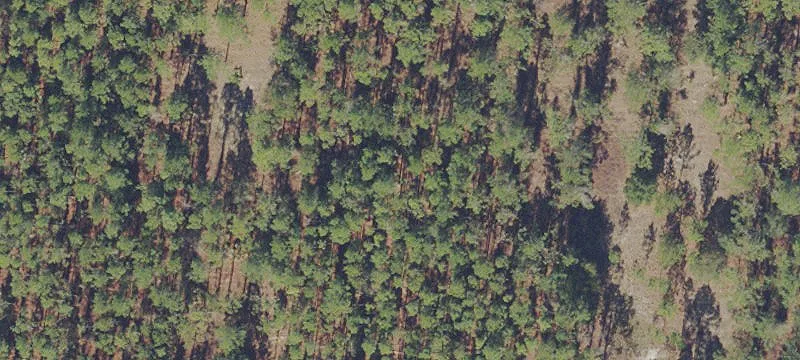 Hawthorne, FL 32640