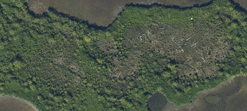 15499 The Little Homosassa Riv