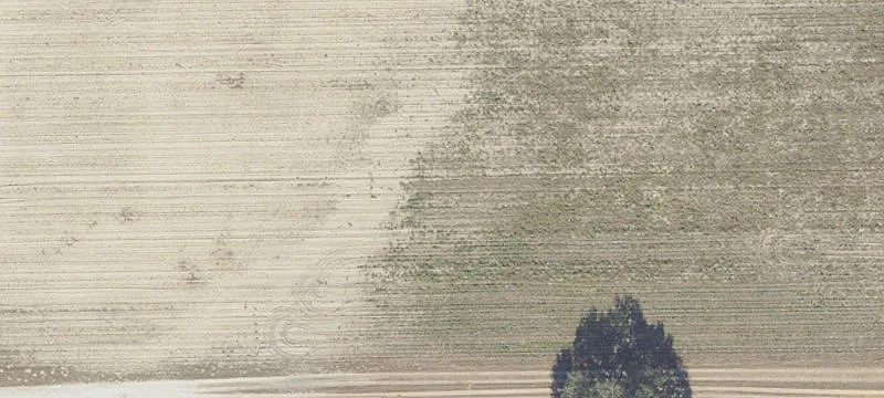 Dunnellon, FL 34431