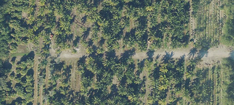 Florida City, FL 33034