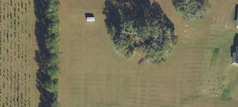 High Springs, FL 32643