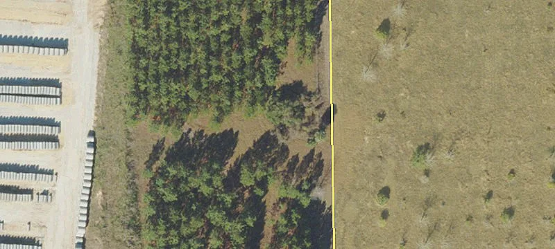 Citrus Farms Dr