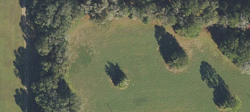 Alachua, FL 32615