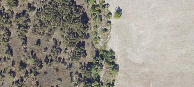 Estero, FL 