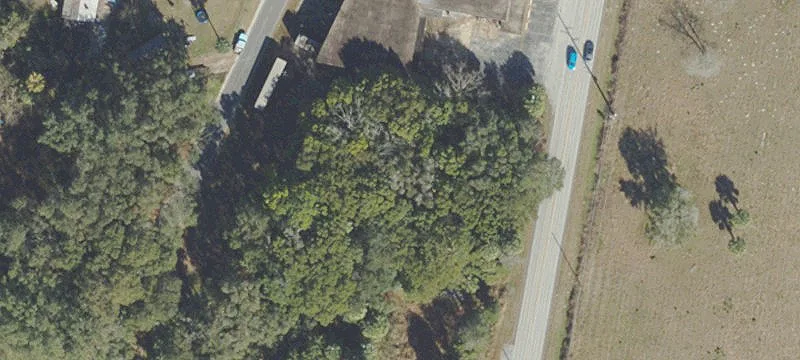 Weirsdale, FL 32195