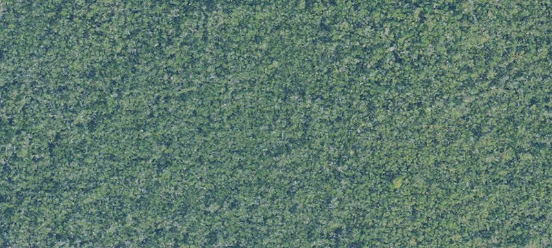Islamorada, FL 33036