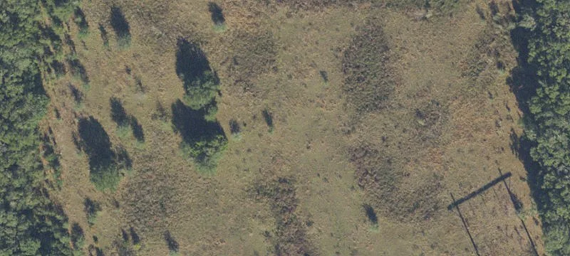 Newberry, FL 32669