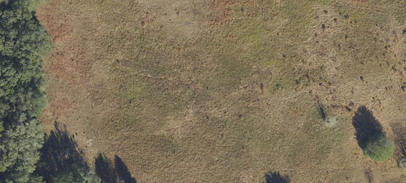 Live Oak, FL 32060