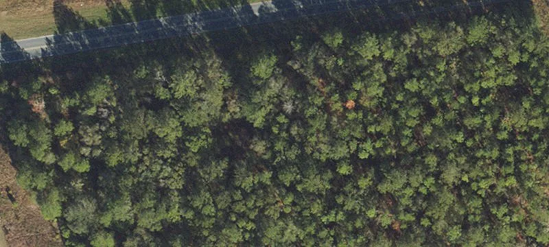 Wellborn, FL 32094
