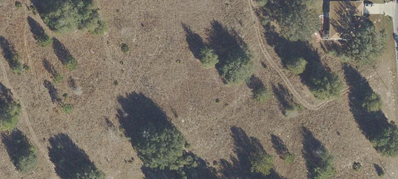 Ocala, FL 34473