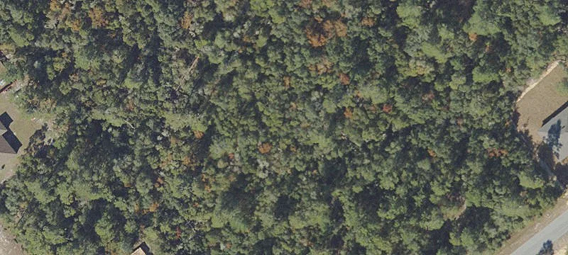 Ocala, FL 34473