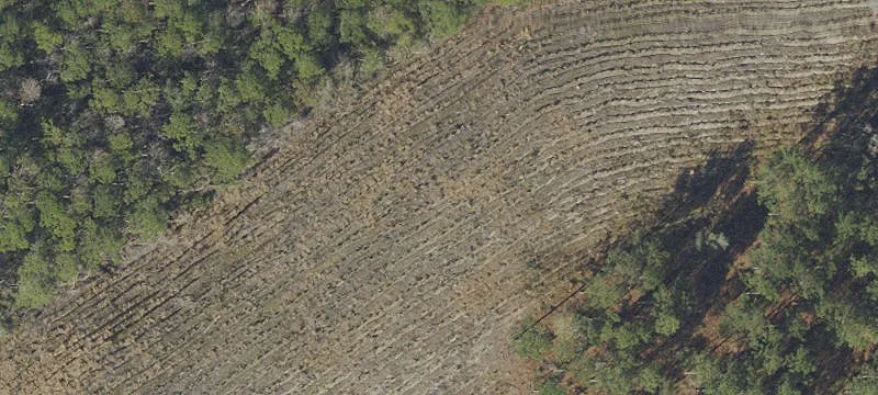 Bonifay, FL 32425
