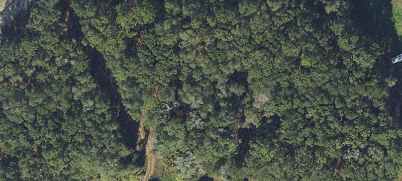 Live Oak, FL 32064