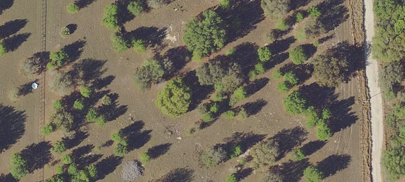 Ocklawaha, FL 32179